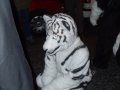 DSCF2694.JPG
